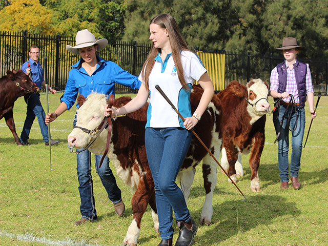 AgriculturalDay04