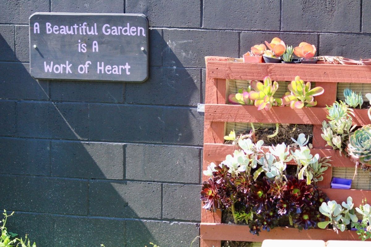 Australian Catholic Bishops’ Conference Social Justice Statement 2021-22: Cry of the Earth, Cry of the Poor