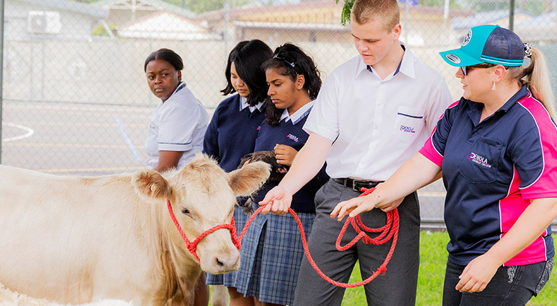 Agricultural Farm - Penola Catholic College Emu Plains