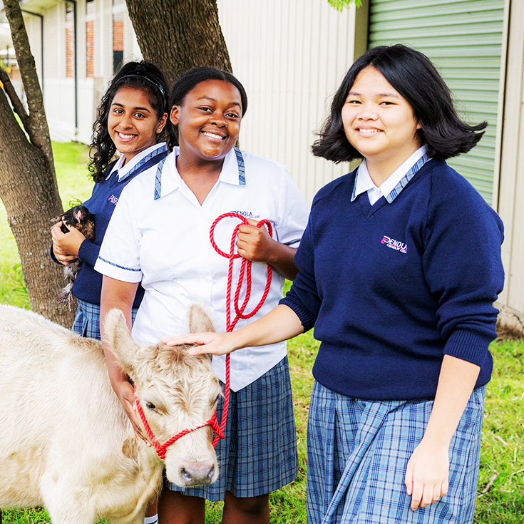 We Help Every Student Shine - Penola Catholic College Emu Plains