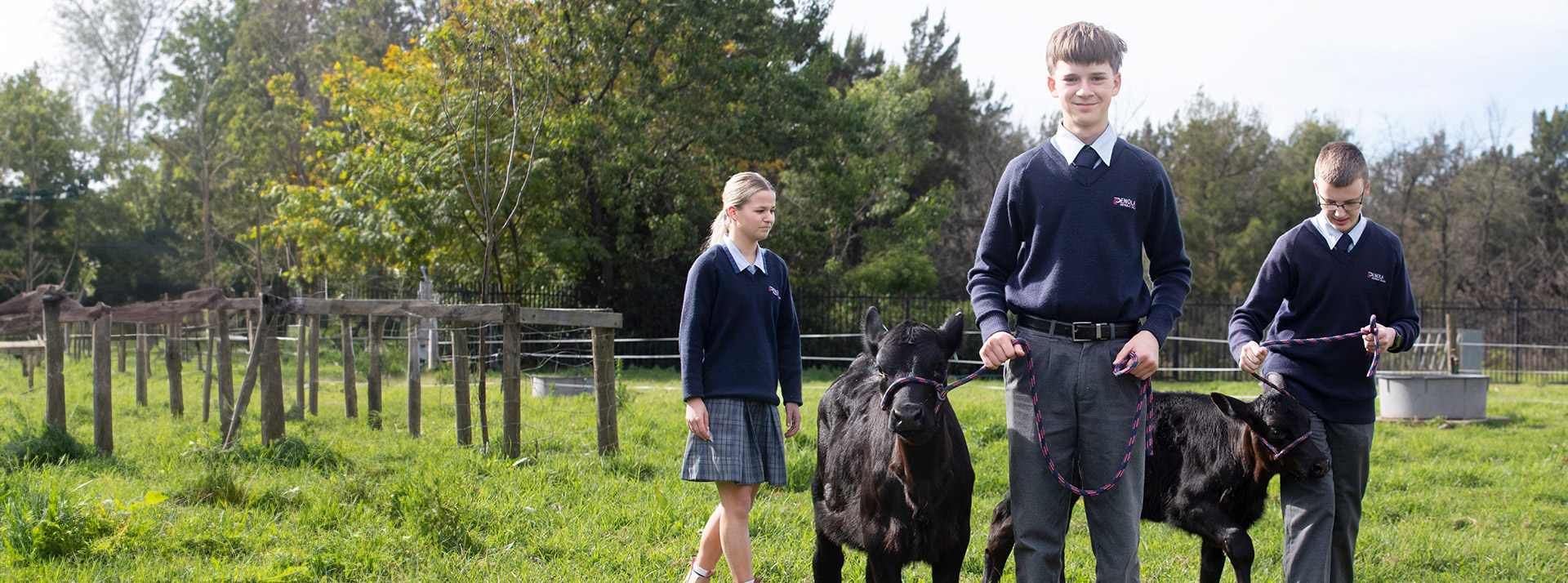 CONTEMPORARY CATHOLIC EDUCATION