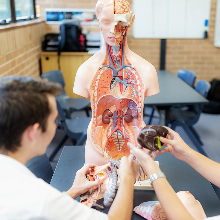 Penola Catholic College Emu Plains science lesson